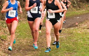 1/4 de finale des Championnats de France de cross - LAVAL